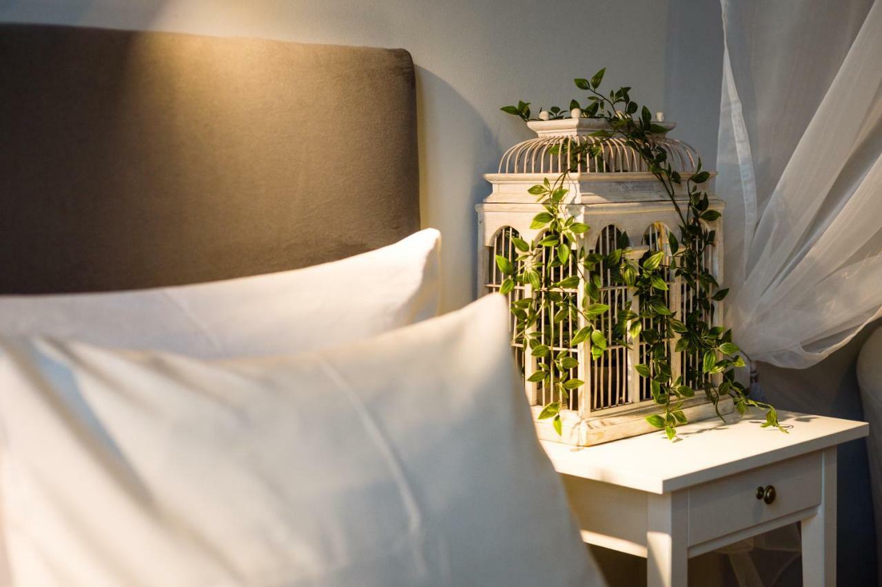 Angel House Bed & Breakfast Krasków Εξωτερικό φωτογραφία